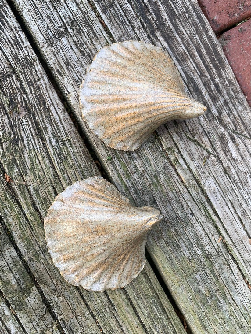 Keramiske strandskaller