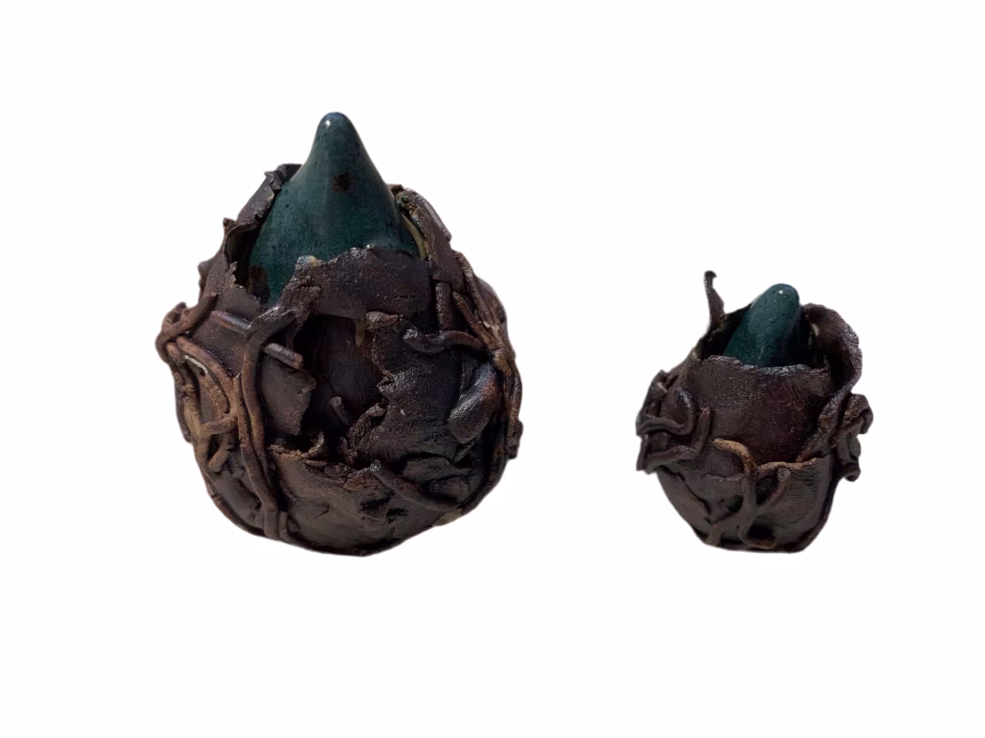 Forårsløg 6 cm. højt